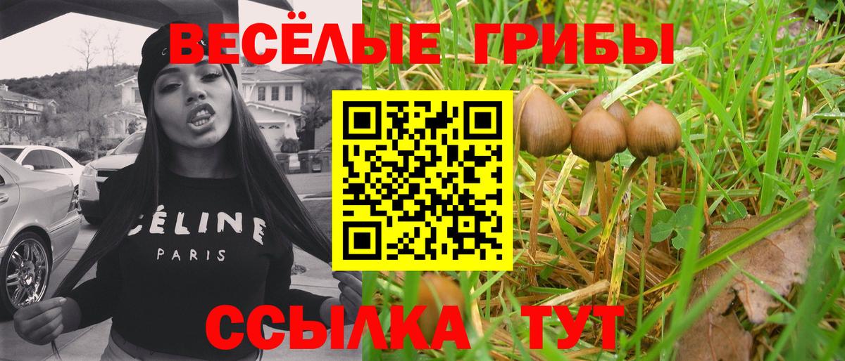Псилоцибиновые грибы Cubensis  Галлюциногенные грибы мицелий  Ртищево  Вход с VPN 